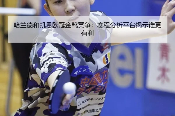 ha-lan-de-he-kai-en-ou-guan-jin-xue-jing-zheng-sai-cheng-fen-xi-ping-tai-jie-shi-shui-geng-you-li-3-254.jpg